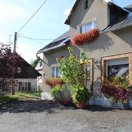 Ferienwohnung Am Muehlbach Klingenthal Dış mekan fotoğraf
