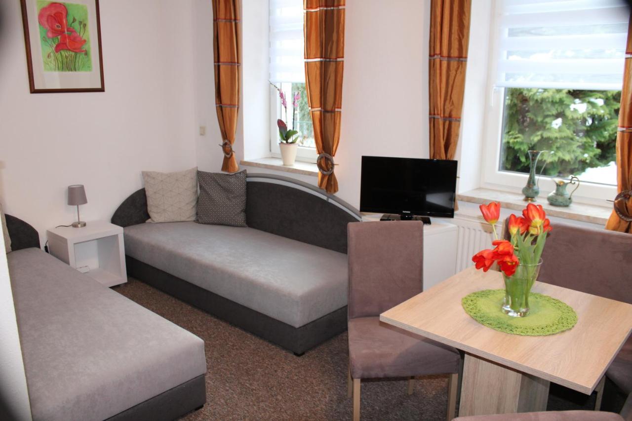Ferienwohnung Am Muehlbach Klingenthal Dış mekan fotoğraf